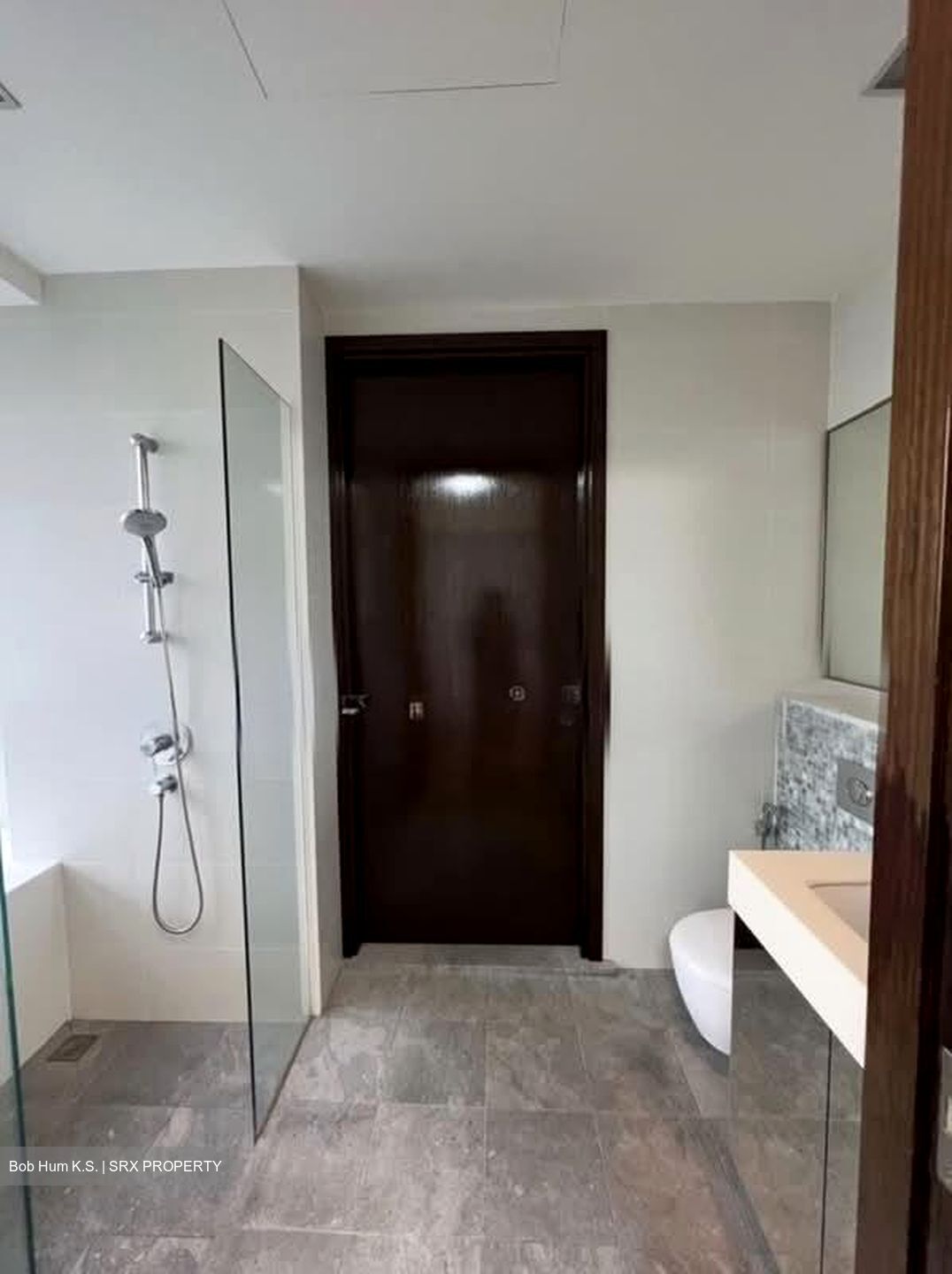 The Mercury (D10), Apartment #582396431